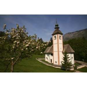  The Holy Spirit Church with Apple Tree in Blossom, Near 