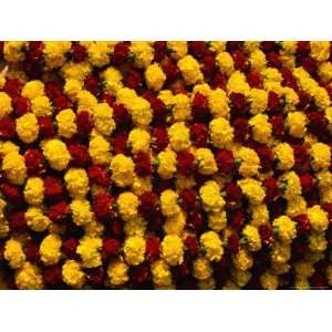 Marigolds for Sale at Flower Market, Kolkata, India Photographic 