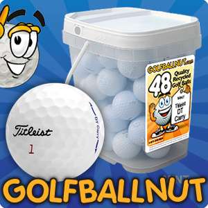 48 Ball Bucket Mint Titliest DT CARRY Used Golf Balls  