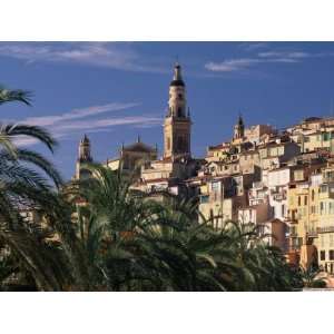 The Old Town, with Palm Trees in Foreground, Menton, French Riviera 