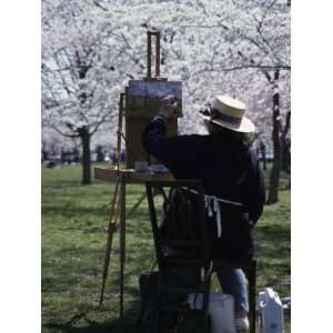 com An Artist Paints a Landscape of Blossoming Japanese Cherry Trees 