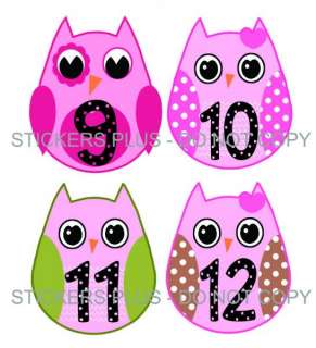 Baby Girl Owls Monthly Onesie Number Picture Stickers  