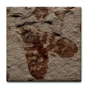  Scorpionfly Moth Fossil Insect Art Insect Tile Coaster by 
