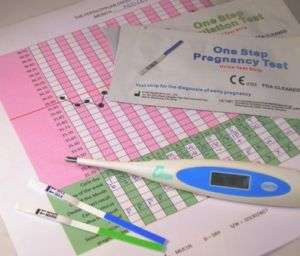   20 OVULATION/PREGNANCY TESTS &CHART 5060213044241  
