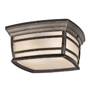   Outdoor Ceiling Light with Light Umber Etched Seedy Glass Shade
