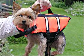Wearing their Up Buoy Classic Toy (Extra small) size life jackets: