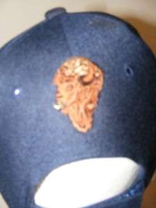 BUFFALO BISON ANIMAL NATIVE AMERICAN INDIAN BLUE HAT  